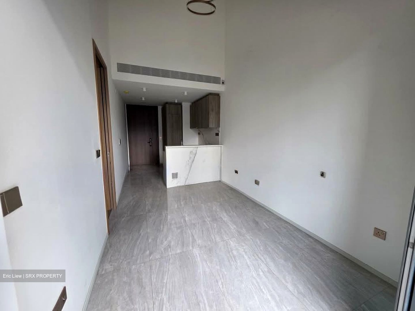 Leedon Green (D10), Condominium #578638581